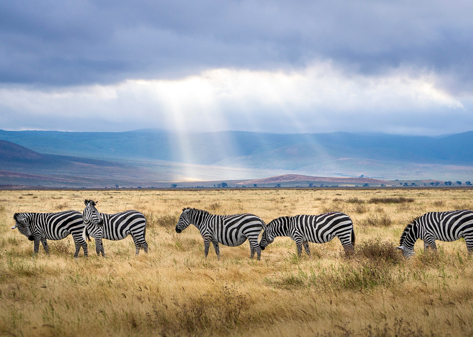 ngorongoro-krater