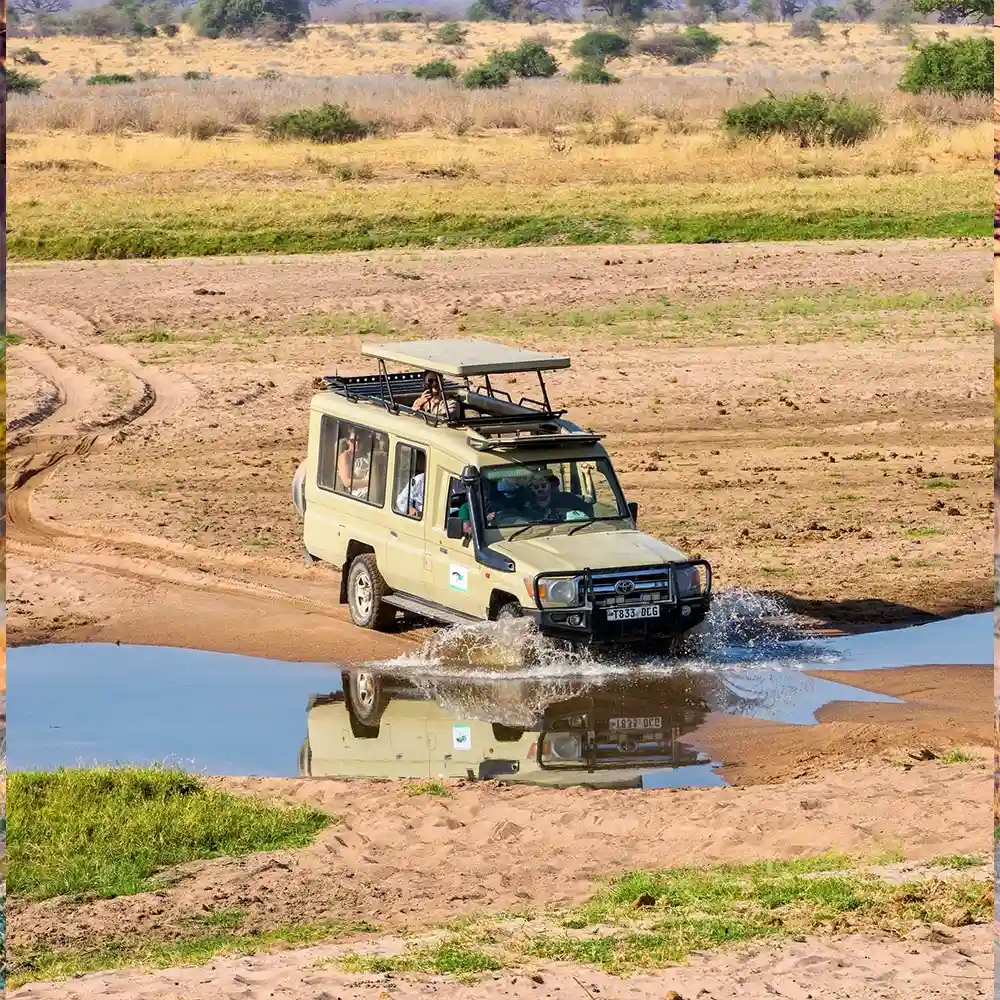Öffnet Tansania-safari-kosten